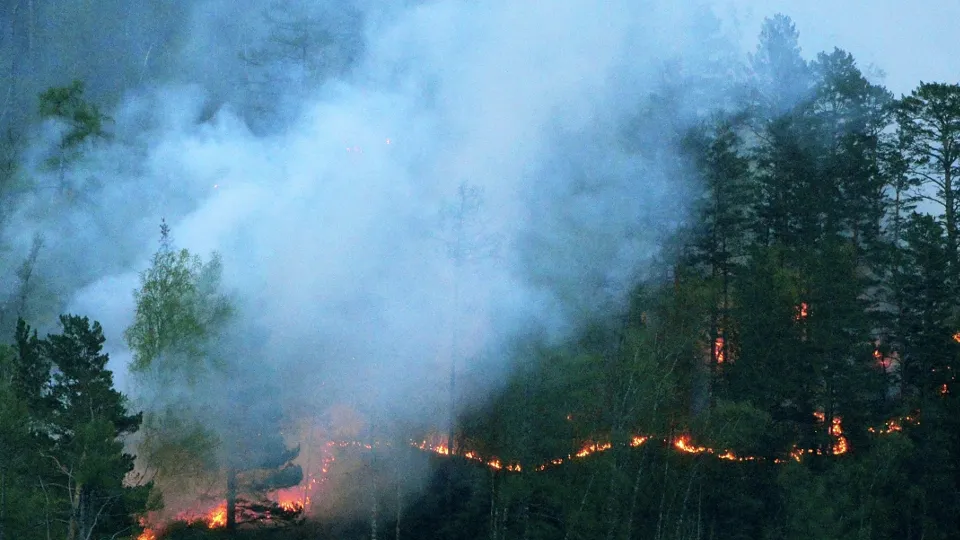 Фото: РИА Новости/Илья Наймушин