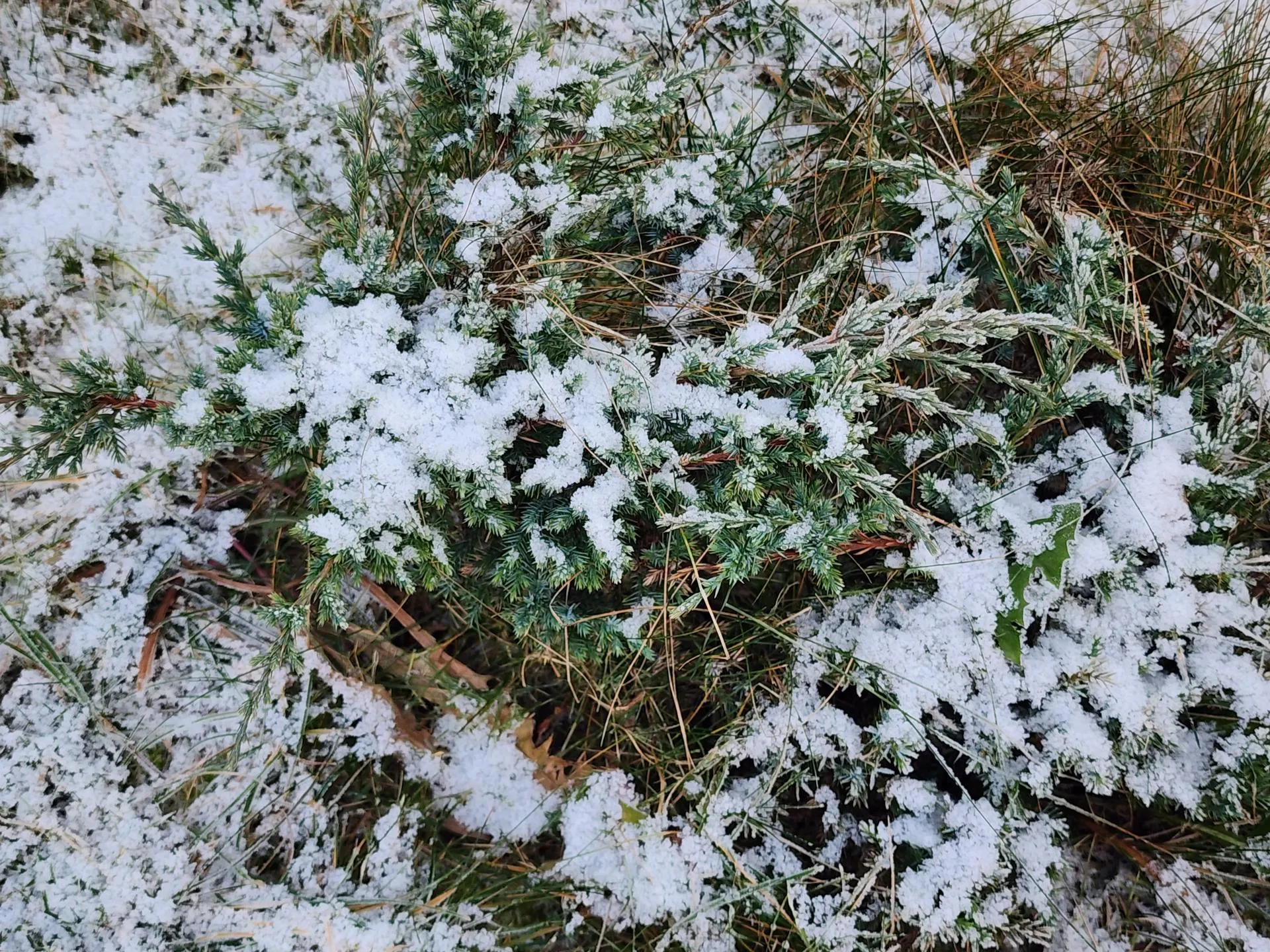 Фото: Светлана Борщева