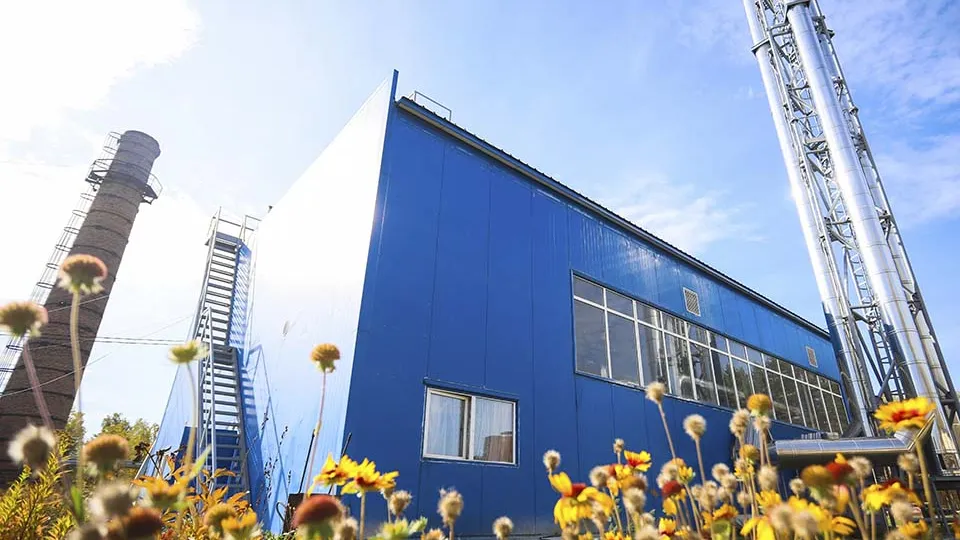 Фото: пресс-служба администрации  г.о. Шатура