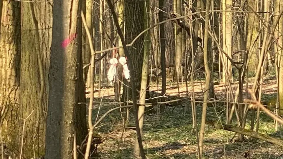 Фото: Ольга Кривых