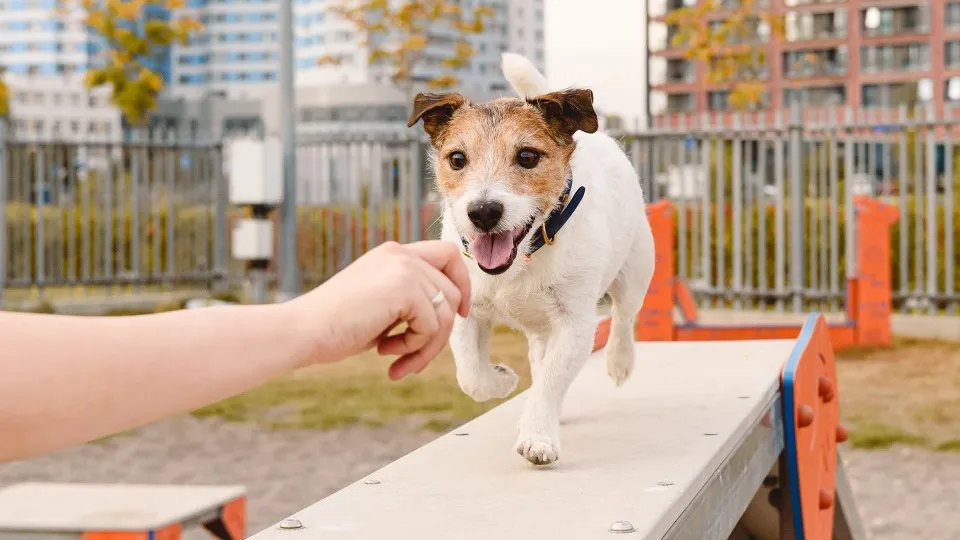 Фото: istockphoto.com/alexei_tm