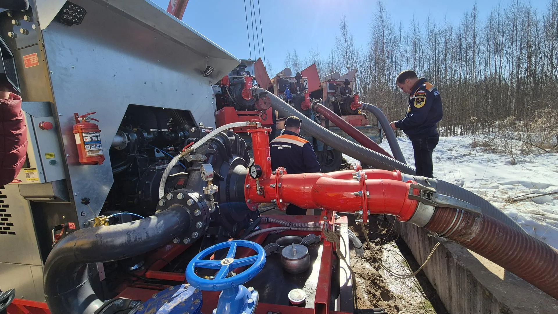 REGIONS/Ольга Панина