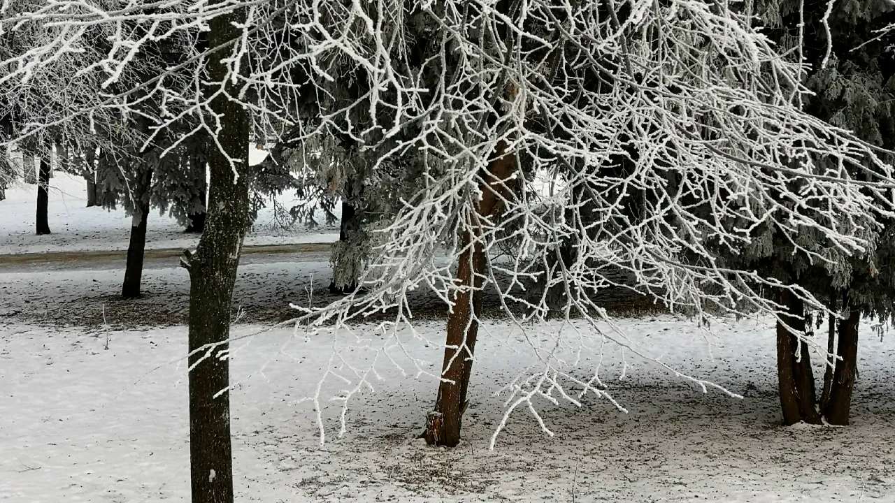 REGIONS/Евгений Мазепов (архив)
