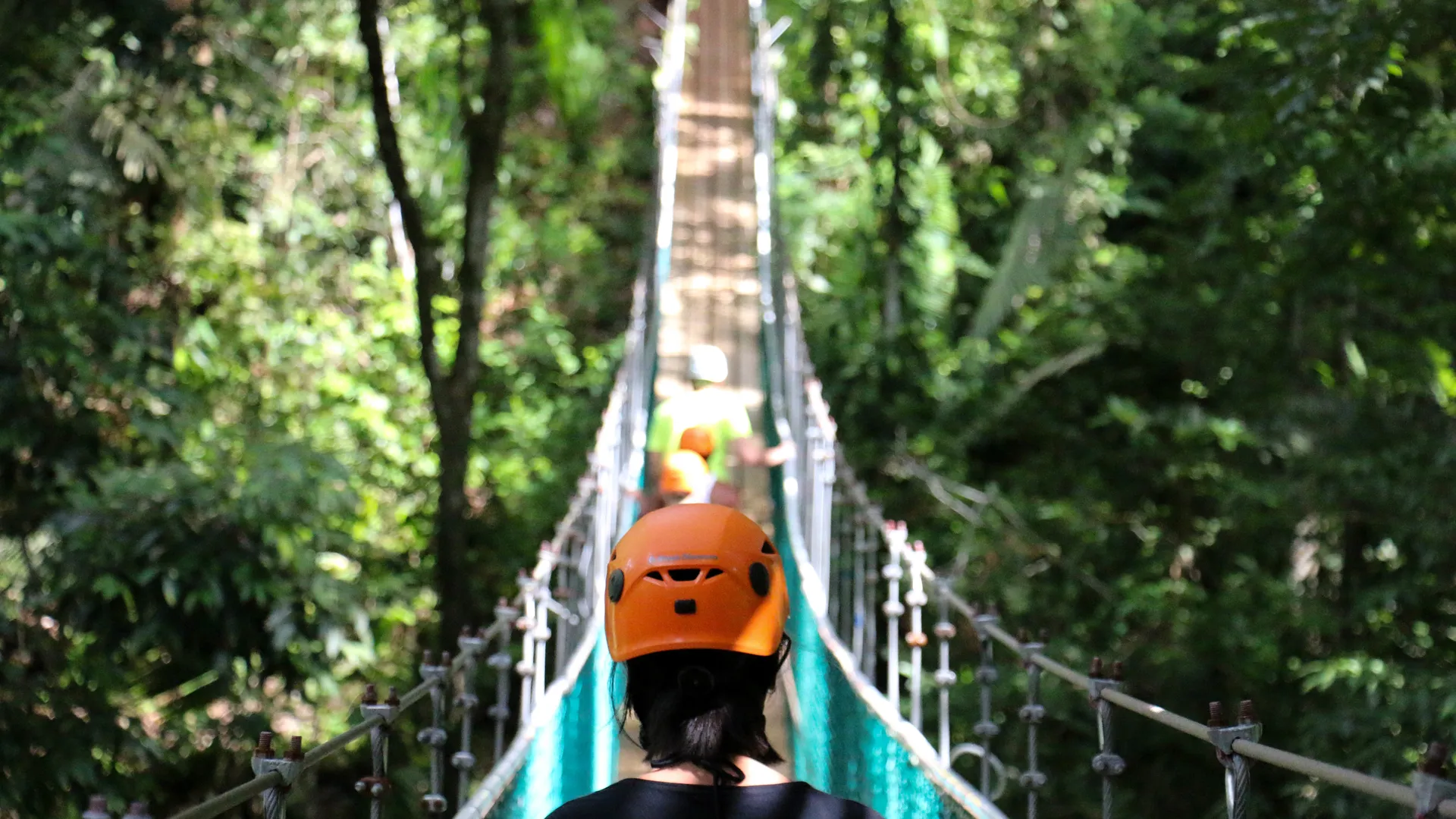 Фото: pxhere.com