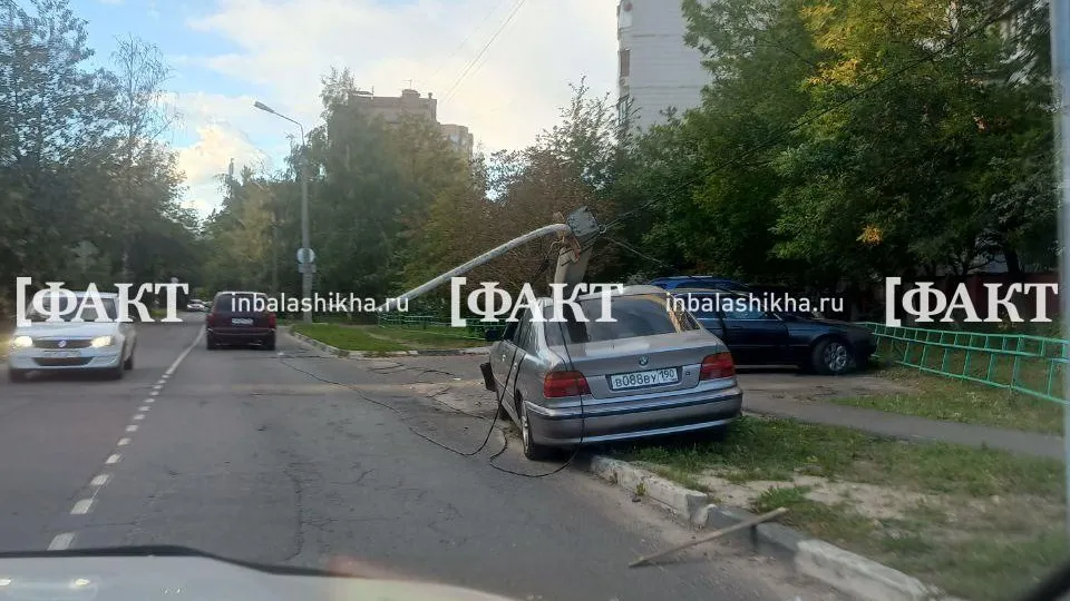 Фото: Андрей Савельев