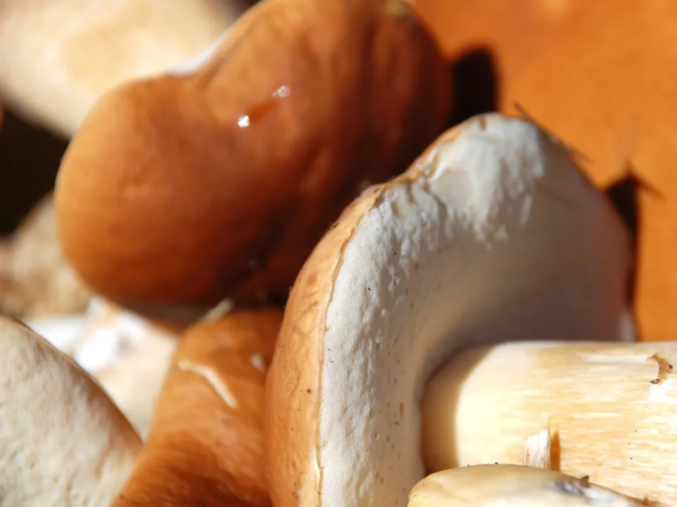 Фото: istockphoto.com