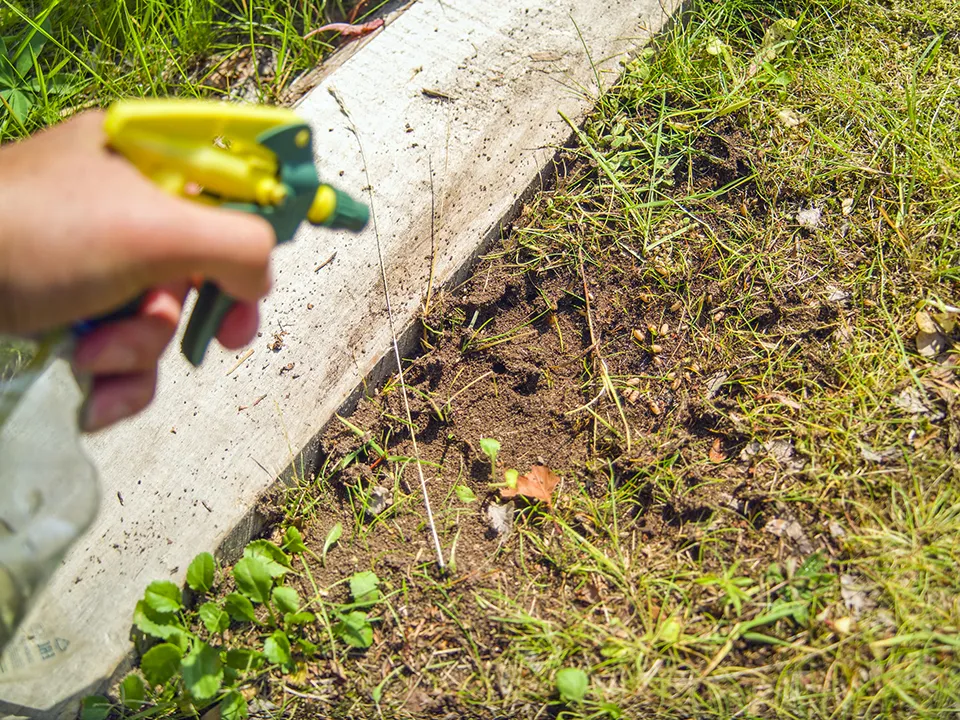 Фото: istockphoto.com