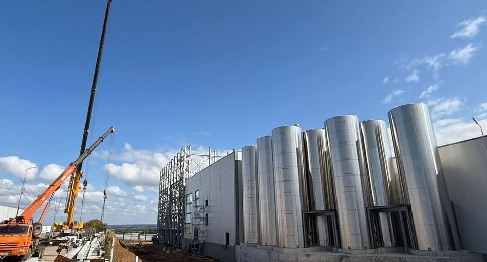 Производство сыра и молочной сыворотки расширят в Дмитрове в 2026 году