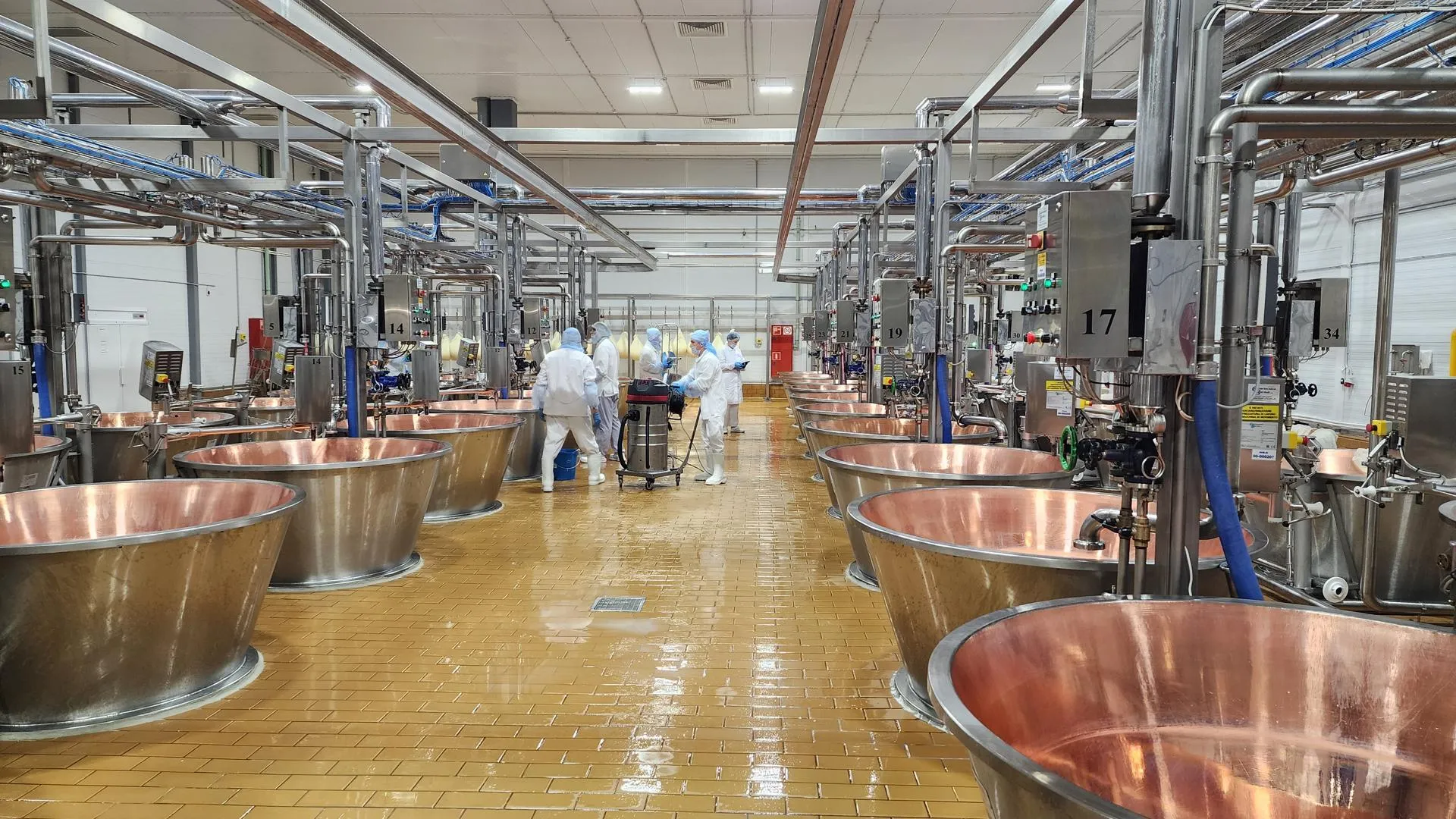 REGIONS/Евгений Рой