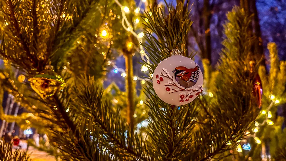 Фото: МедиаБанк Подмосковья/Данила Кирьянов