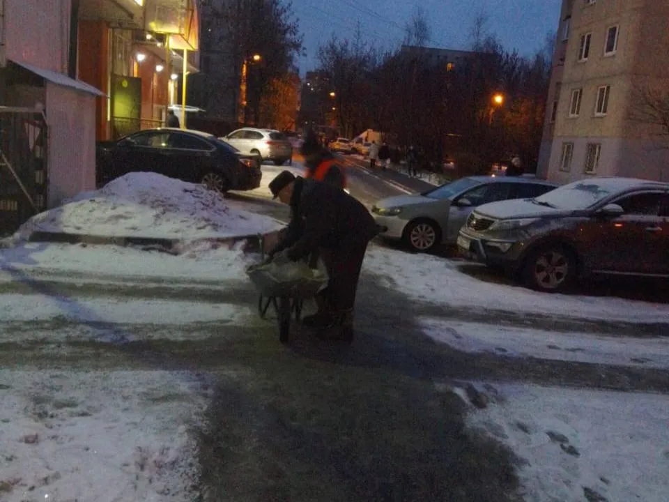 Картинка