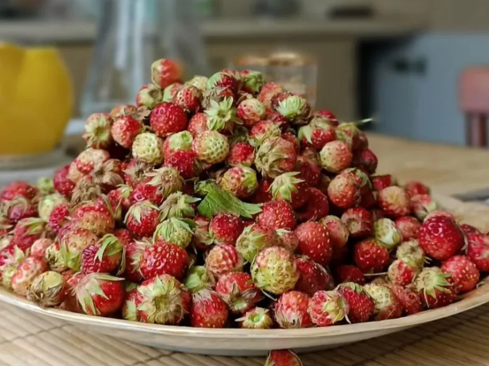 Фото: городская доска объявлений