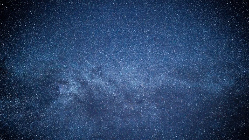 Фото: РИА Новости/Виталий Тимкив