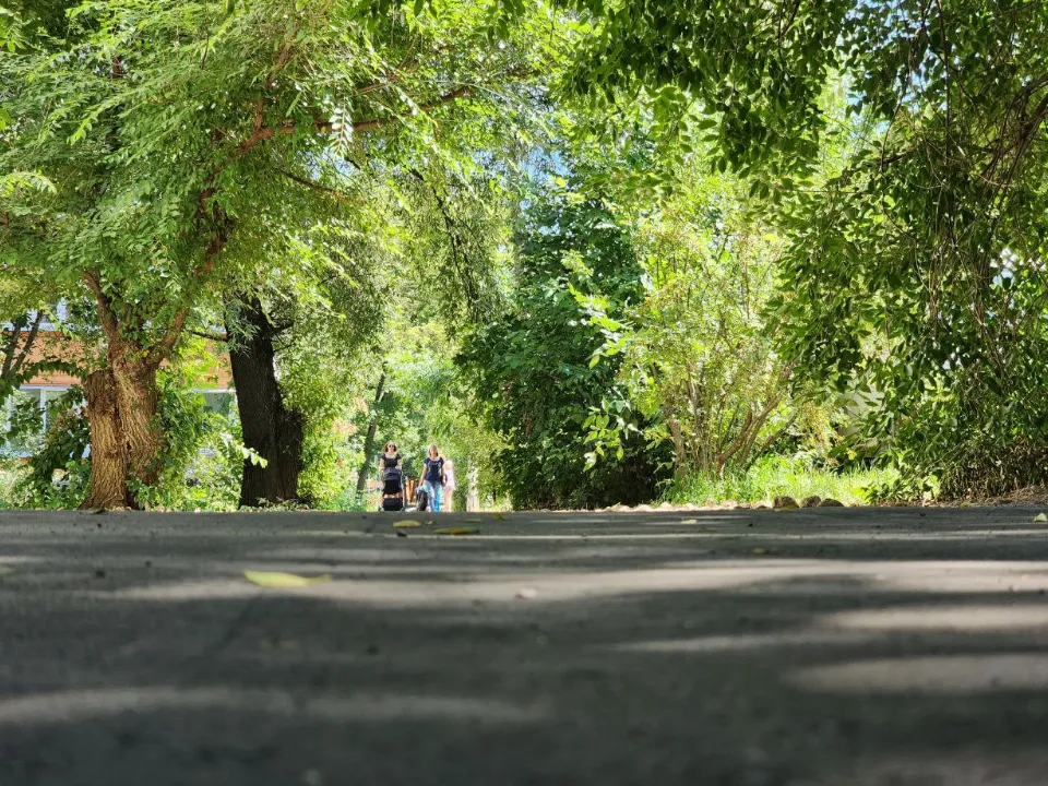 Фото: МедиаБанк Подмосковья/ Яна Шаливская