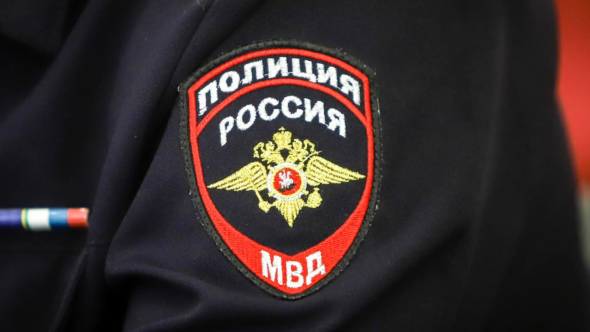 Фото: Виталий Ватулин