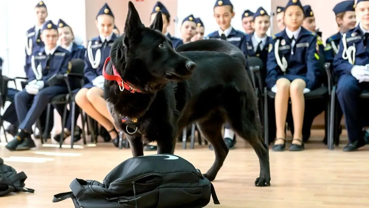 пресс-служба администрации г.о. Подольск