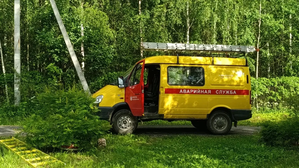 Фото: МедиаБанк Подмосковья/Ольга Антонова