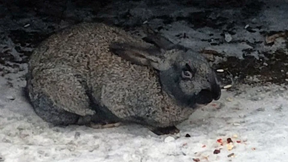 Фото: Сергей Васильев