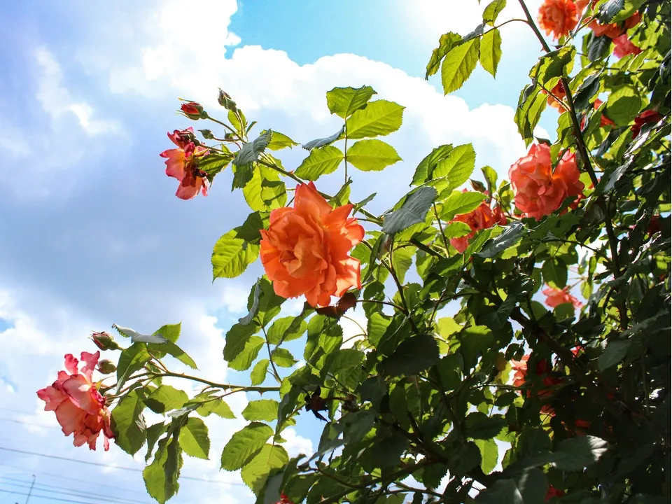 Фото: unsplash.com