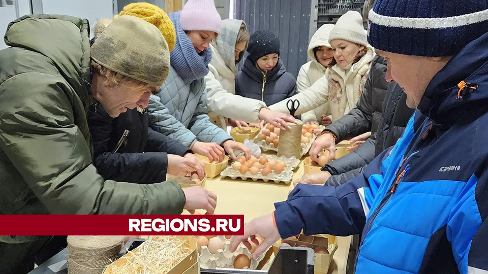 Фото: Ольга Шеметова