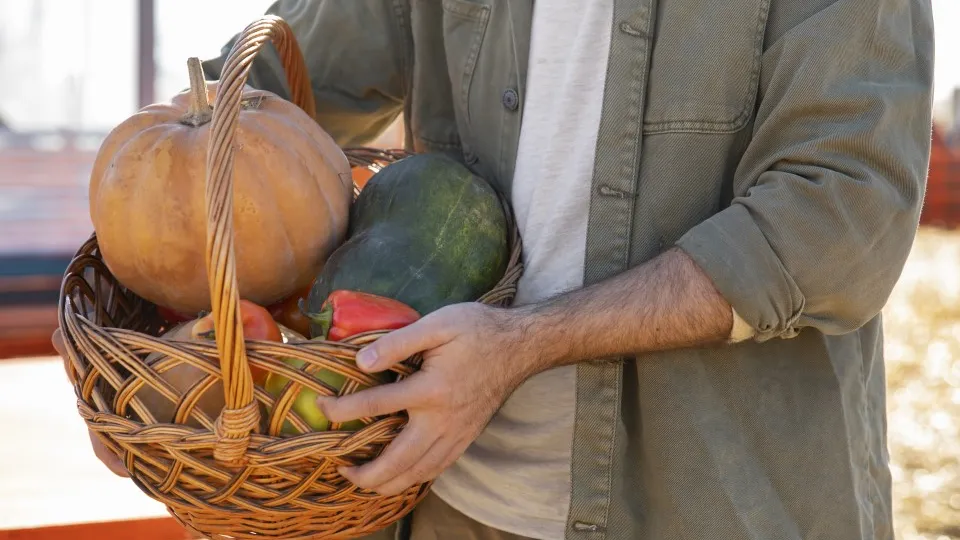 Фото: freepik.com