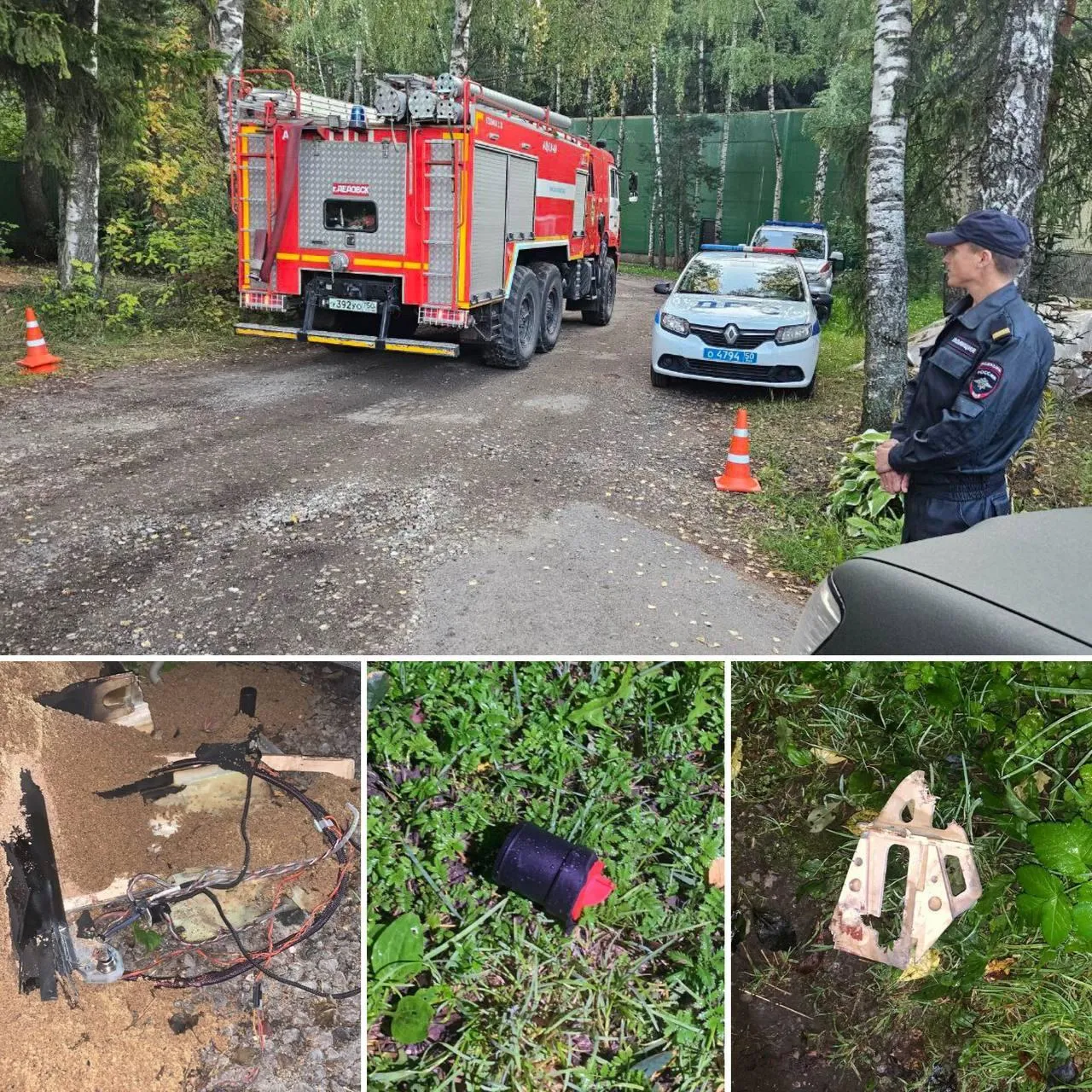 Соцсети главы городского округа Истра Татьяны Витушевой
