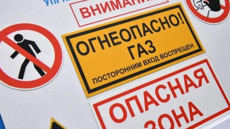 Максим Богодвид/РИА Новости