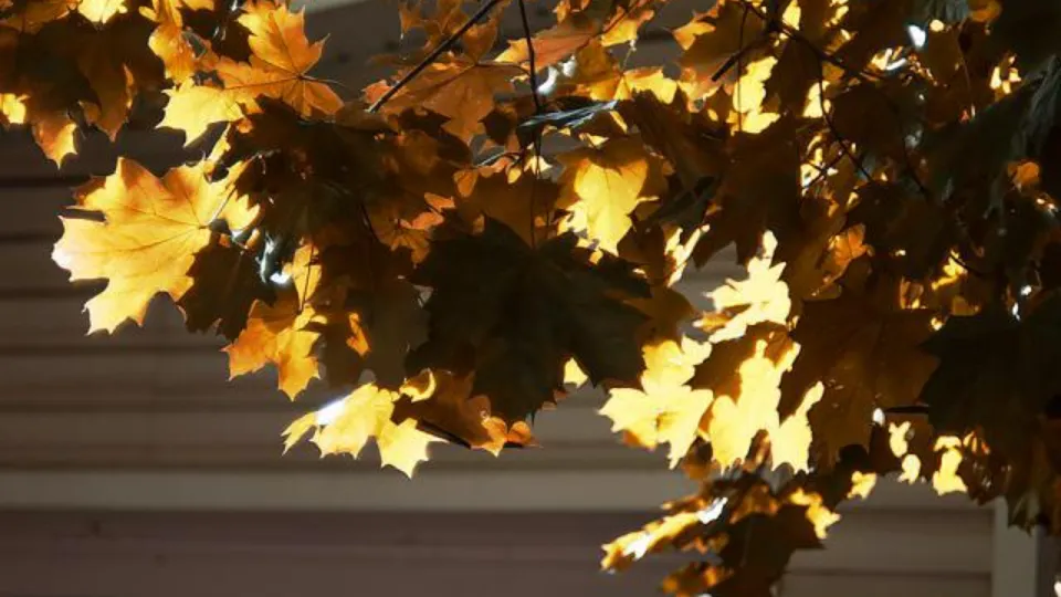 Фото: REGIONS/Роман Малышенко