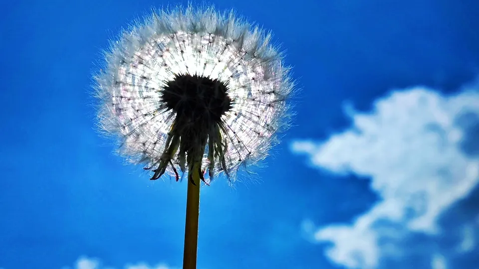 Фото: REGIONS/Алексей Селиверстов