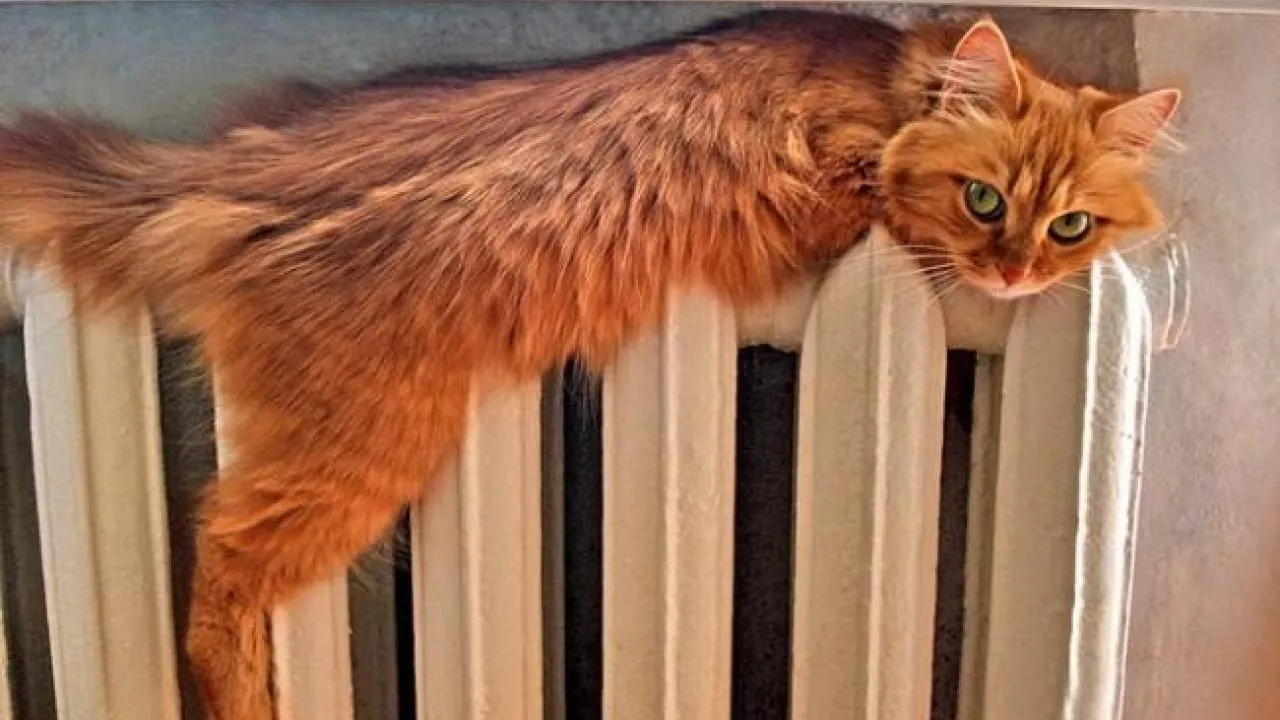 Фото: krasivosti.pro