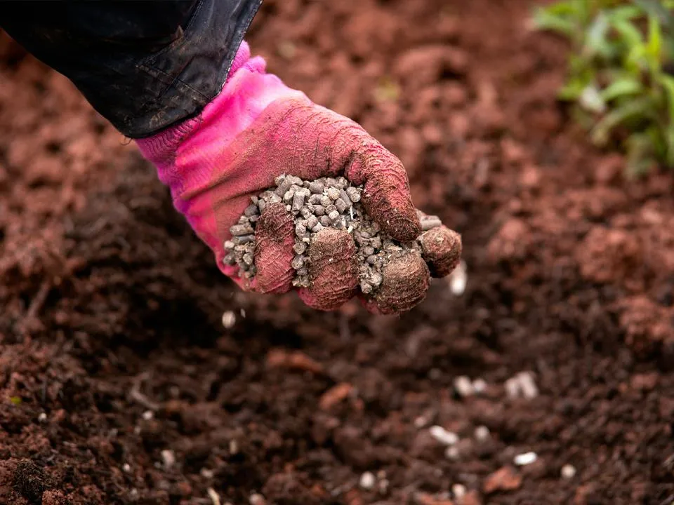 Фото: istockphoto.com