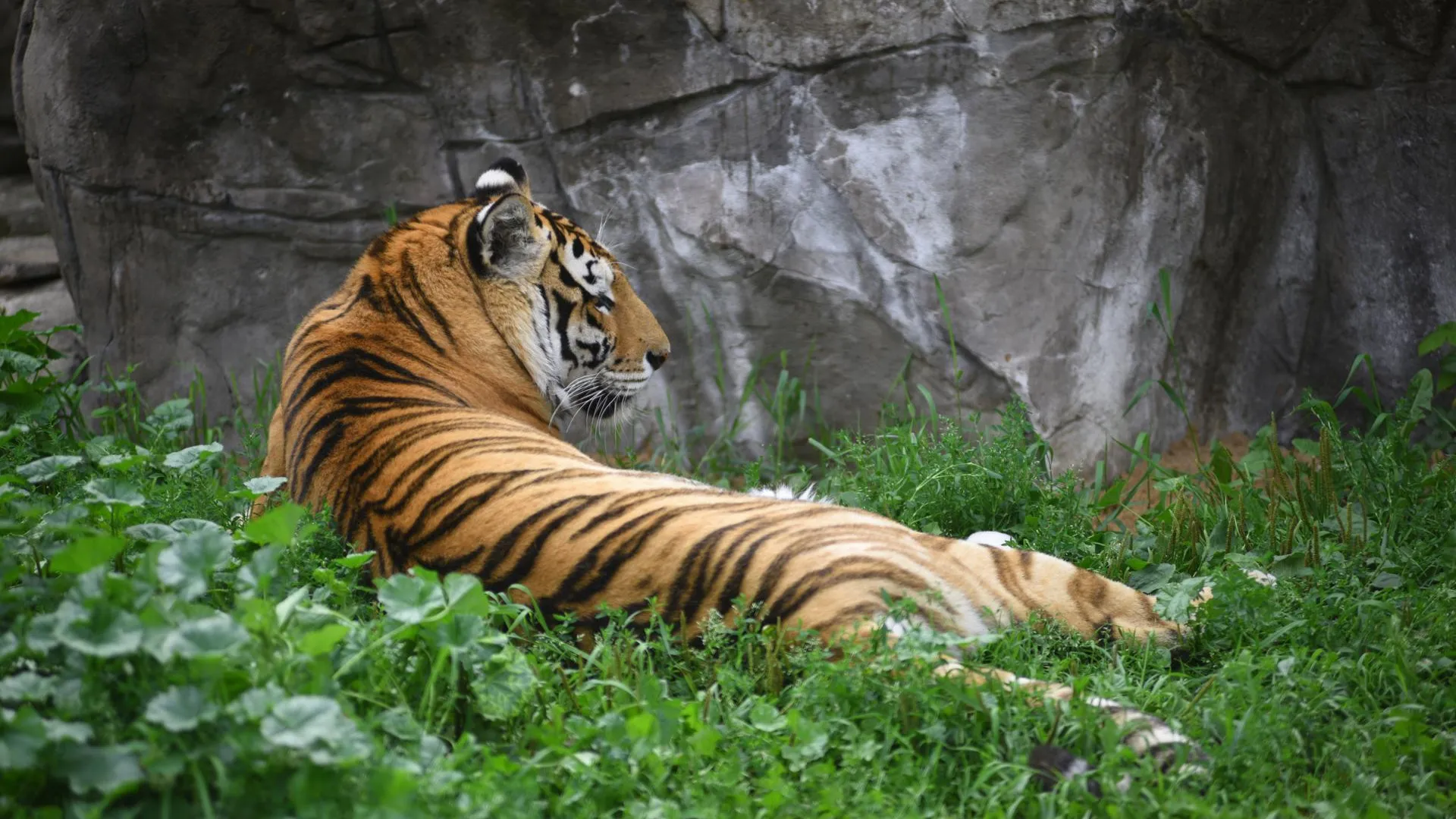 медиасток.рф