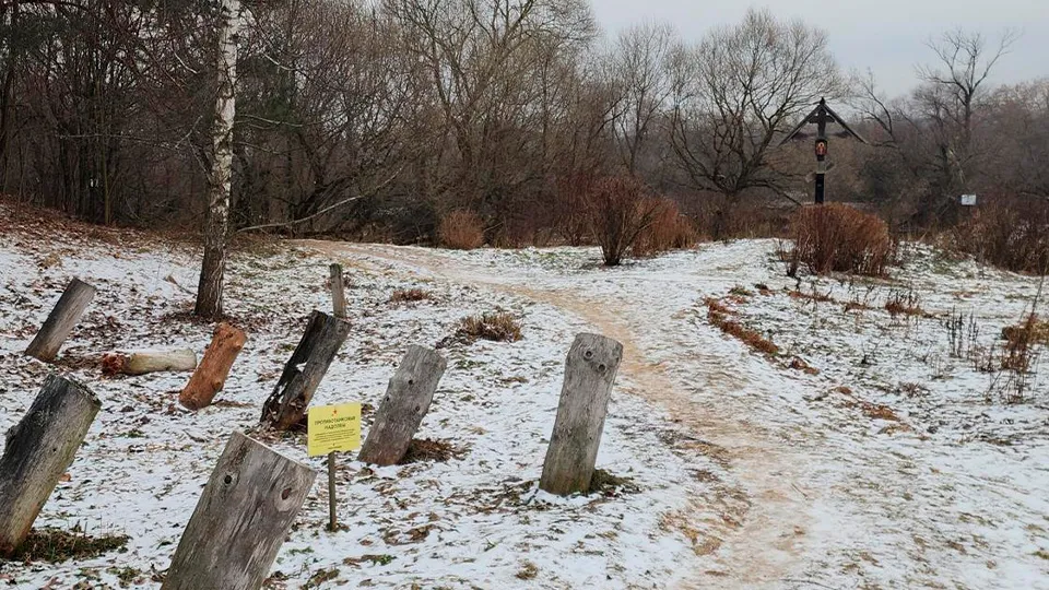 Фото: Хавива Фонина