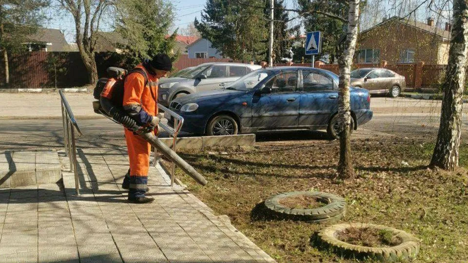 Фото: vk.com/Администрация городского округа Истра