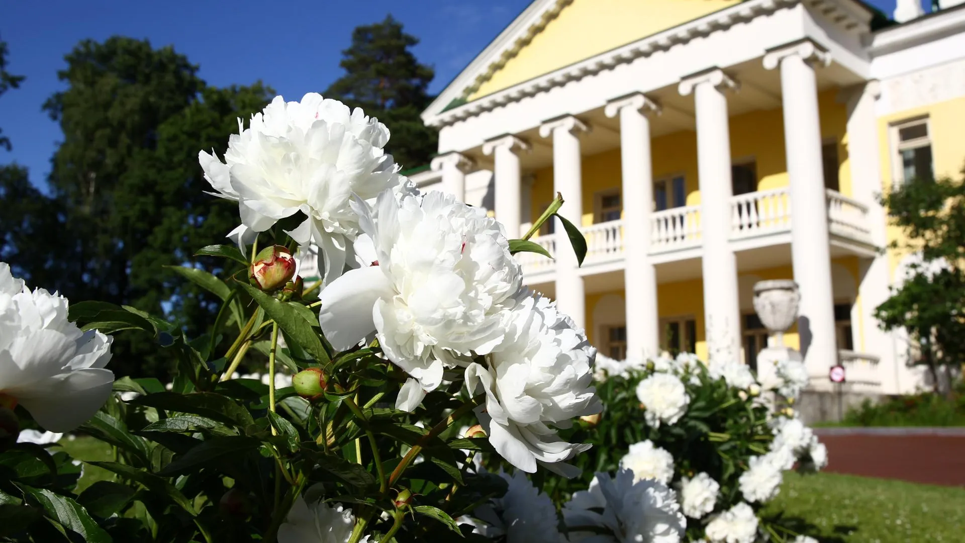 Фото: Музей-заповедник «Горки Ленинские»