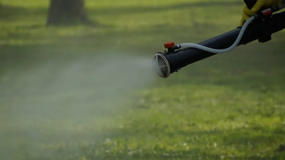 Фото: МедиаБанк Подмосковья/Алена Притула