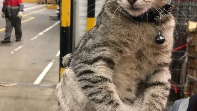 Фото: соцсети