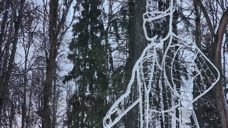 Фото: МедиаБанк Подмосковья/Марина Анисимова