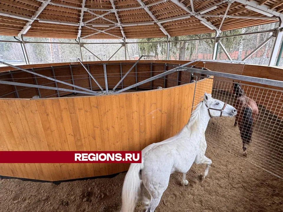 Фото: Мария Шматкова