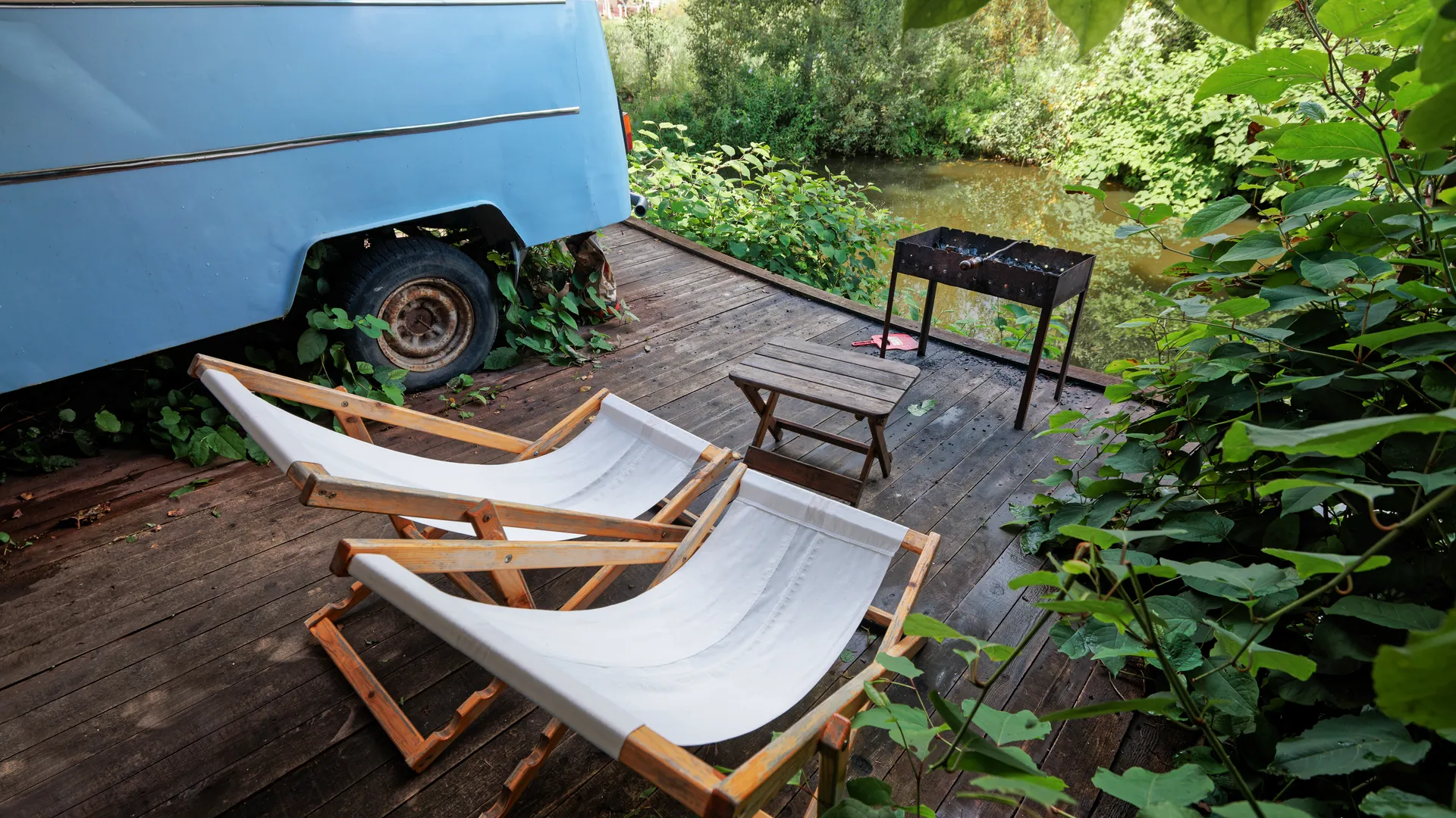 Клещи движутся только вверх: биолог раскрыл секрет, как избежать смертельного укуса