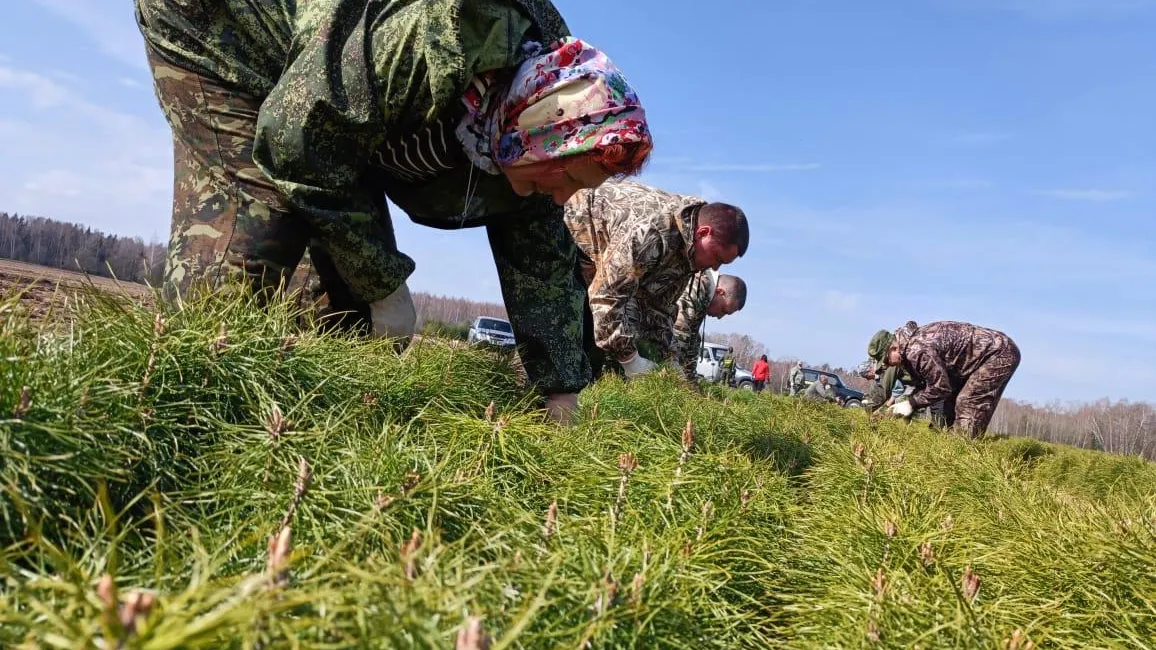 Фото: Комитет лесного хозяйства Московской области