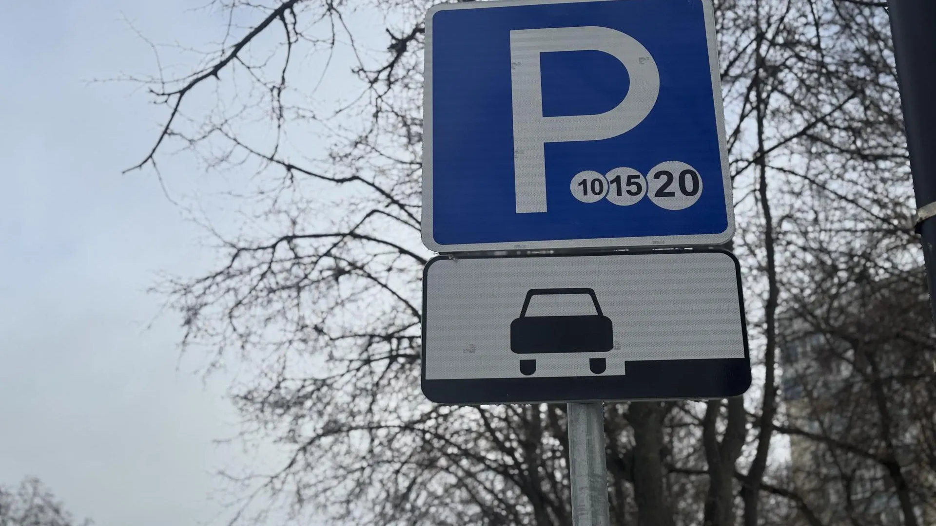 Полина Абраменко