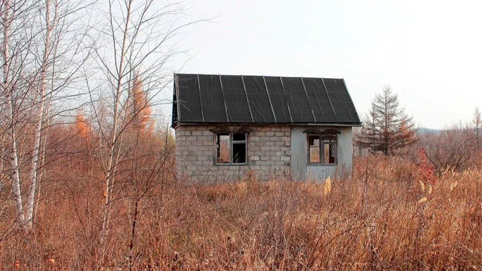 Фото: пресс-служба администрации г.о. Зарайск