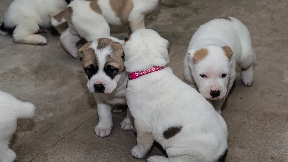 Фото: istockphoto.com