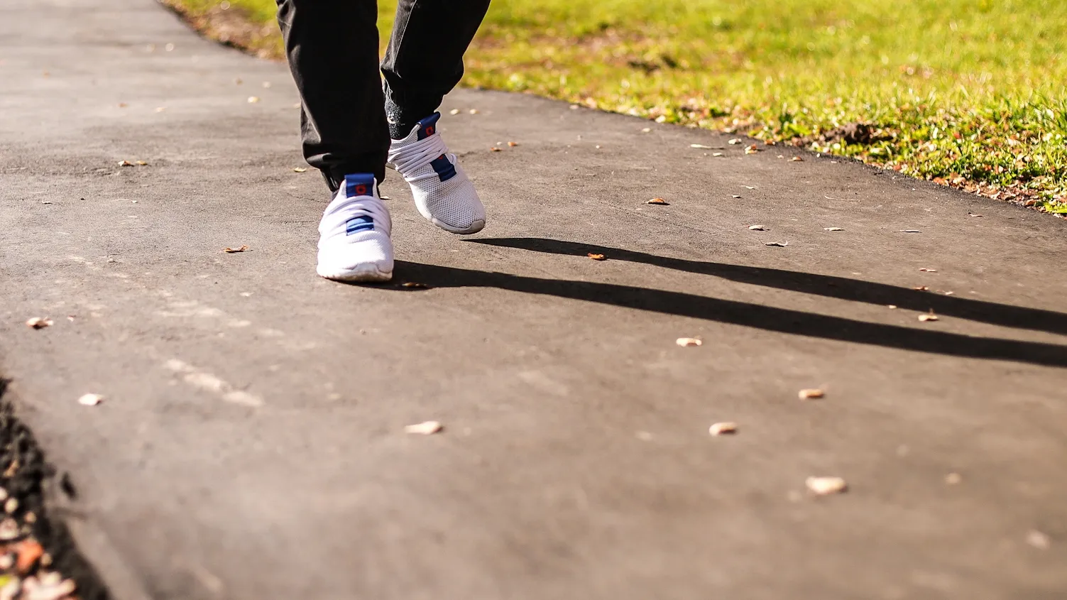 Фото: пресс-служба администрации г.о. Кашира