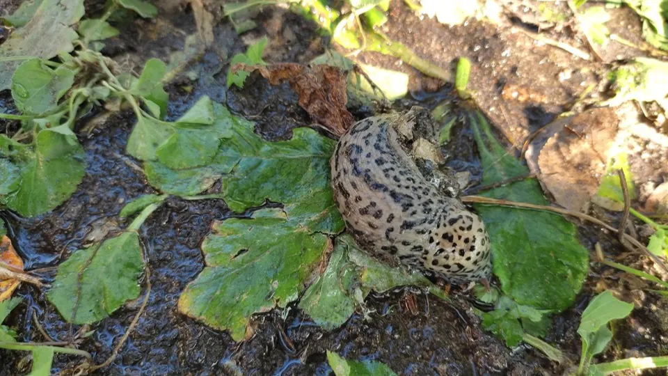 Фото: Наталья Светлова