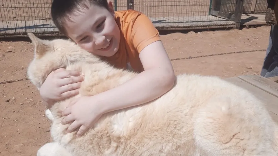 Фото: пресс-служба Министерства образования Московской области