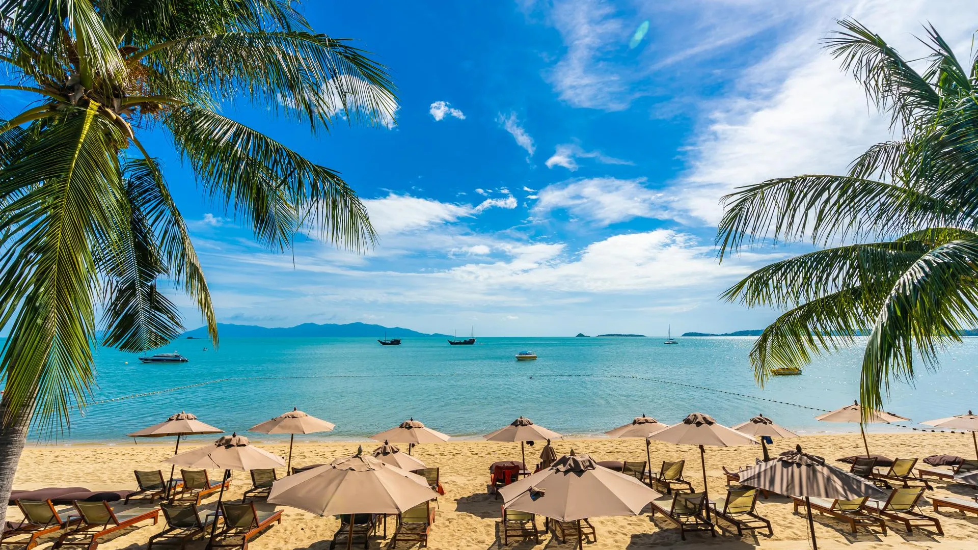 Фото: https://ru.freepik.com