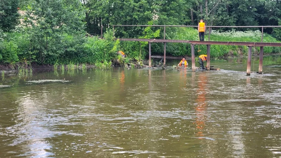 Фото: администрация городского округа Люберцы