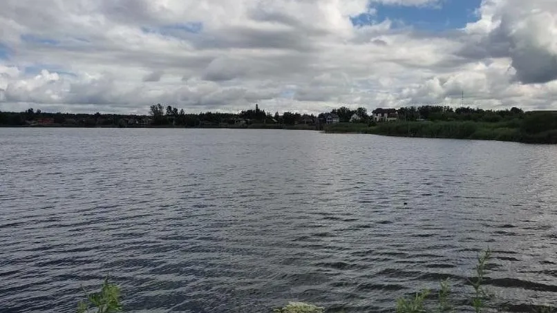 Фото: Минэкологии МО